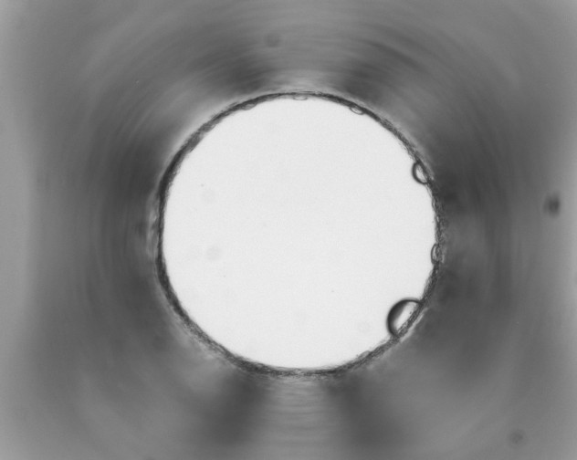 X0000089871126200707262143