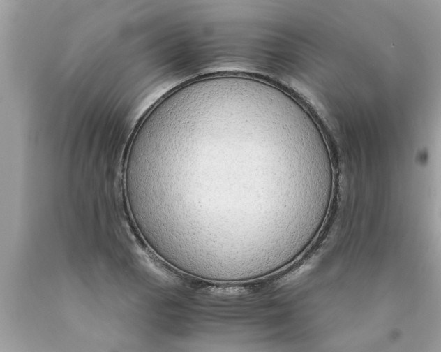 X0000089871129200707262143