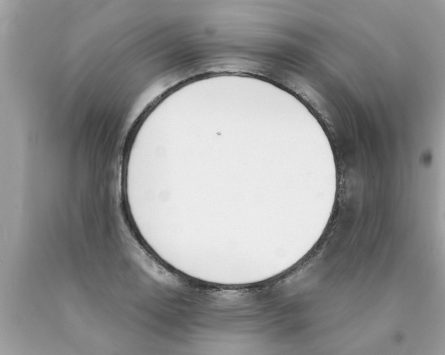 X0000089871130200707262143