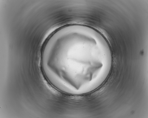 X0000089871131200707262143