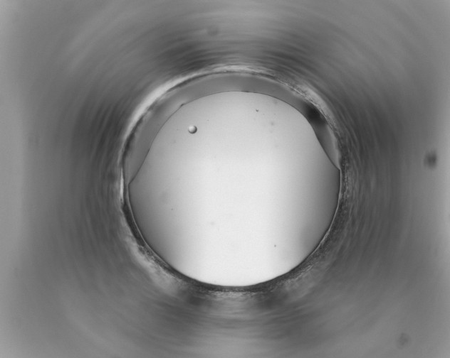 X0000089871132200707262143