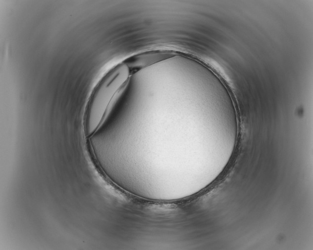 X0000089871133200707262143