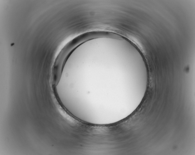 X0000089871136200707262144