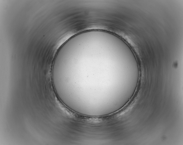 X0000089871137200707262144
