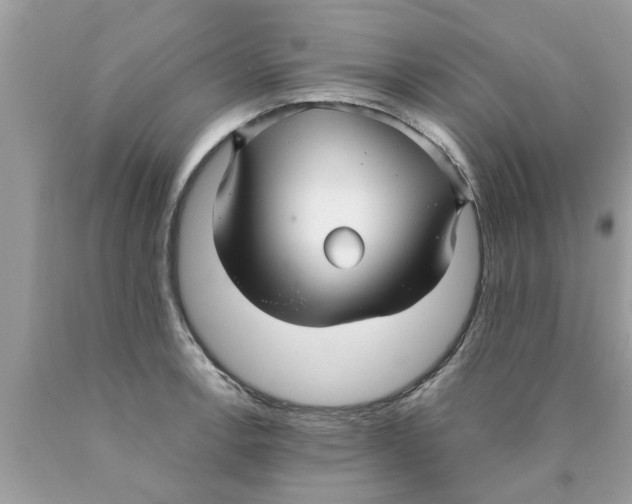 X0000089871138200707262144