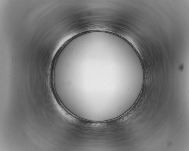 X0000089871139200707262144