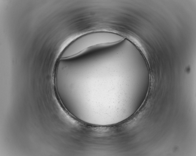 X0000089871141200707262144