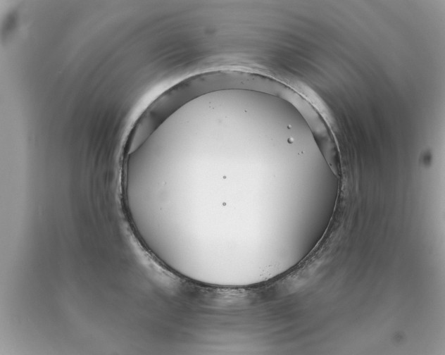 X0000089871144200707262144