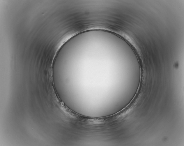 X0000089871145200707262144