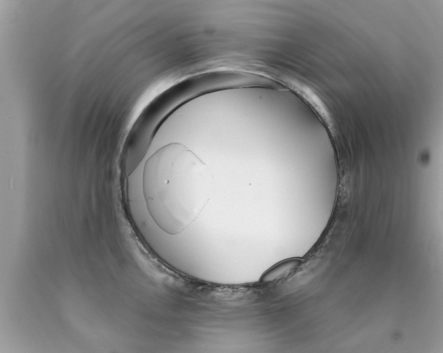 X0000089871146200707262144