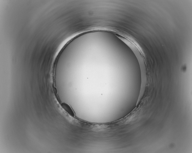X0000089871148200707262144