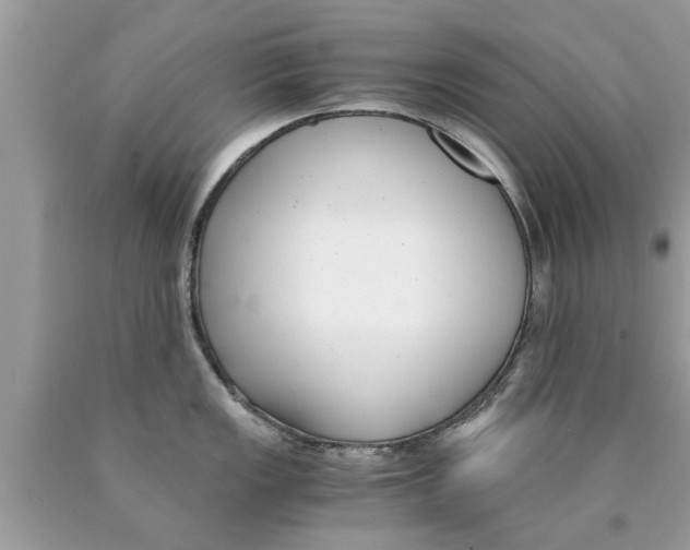 X0000089871149200707262144