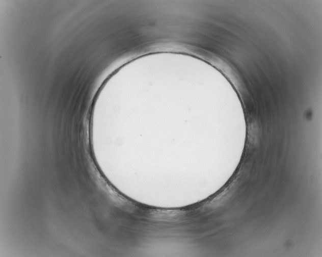 X0000089871150200707262144