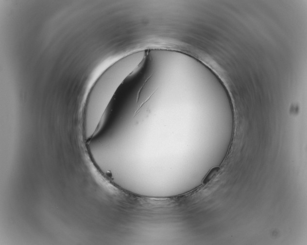 X0000089871152200707262144