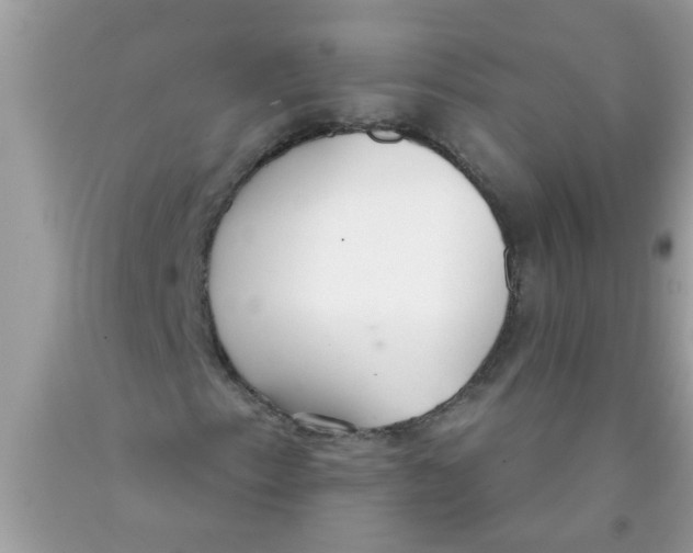 X0000089871153200707262143