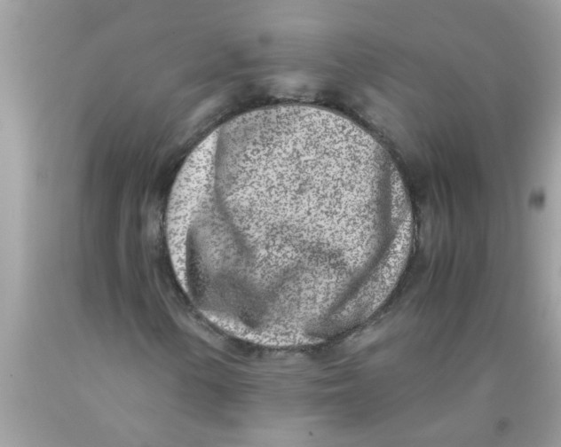 X0000089871154200707262143