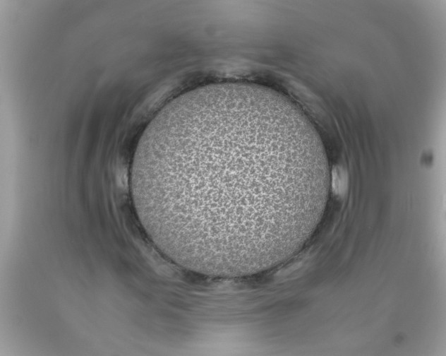 X0000089871155200707262143