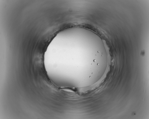 X0000089871156200707262143