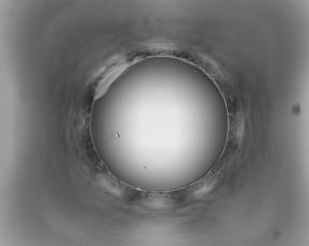 X0000089871157200707262143