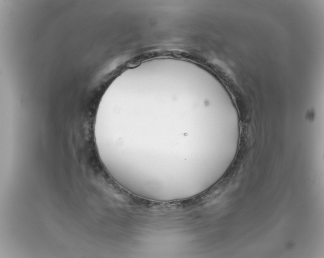 X0000089871159200707262143