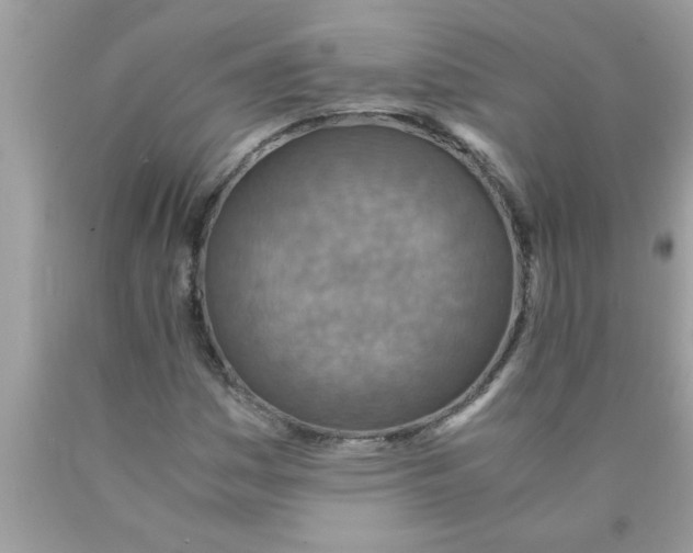 X0000089871161200707262143