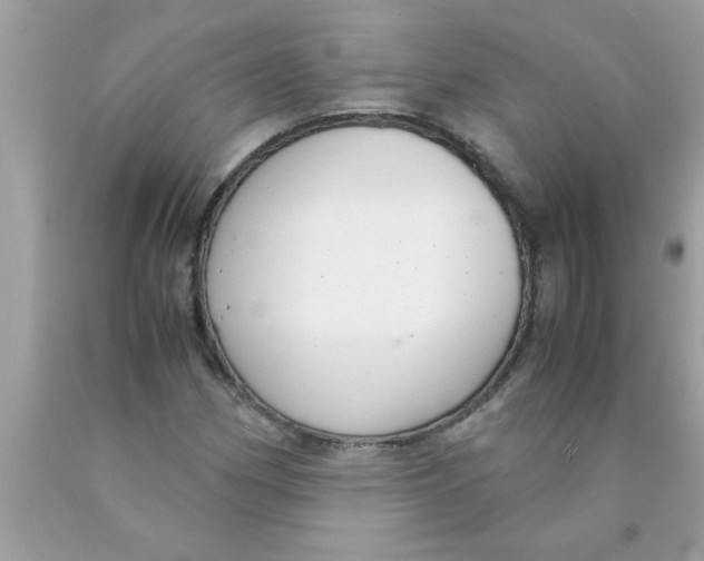 X0000089871162200707262143