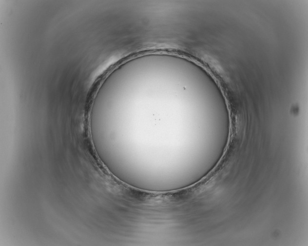 X0000089871165200707262143