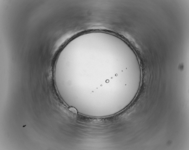 X0000089871167200707262143