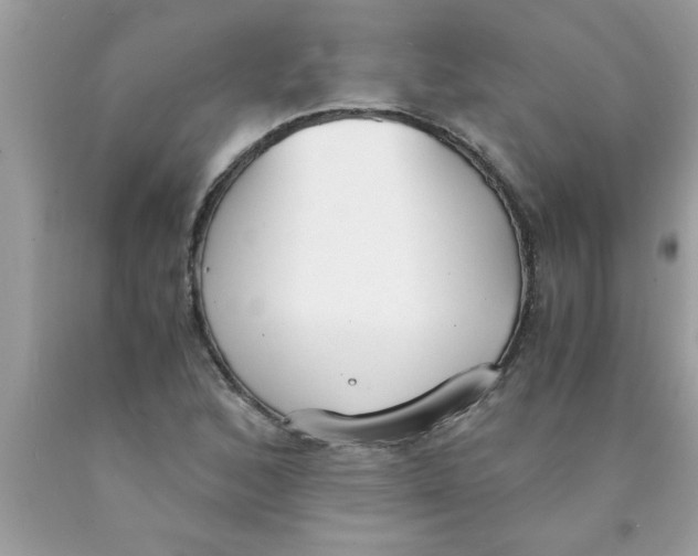 X0000089871168200707262143