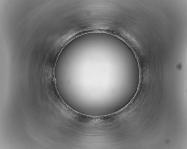 X0000089871169200707262143