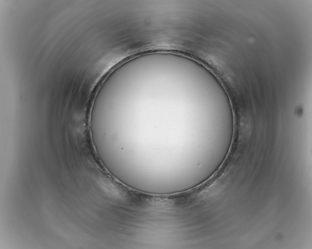 X0000089871170200707262143