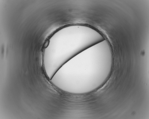 X0000089871171200707262143