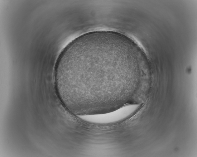 X0000089871173200707262143