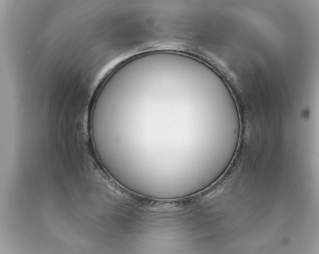 X0000089871174200707262143