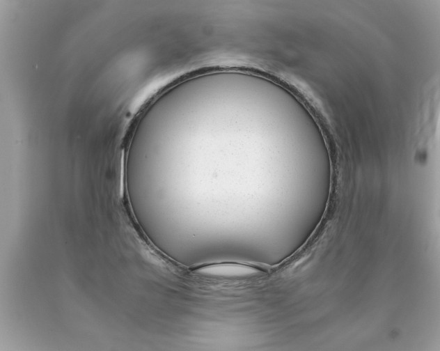 X0000089871175200707262143