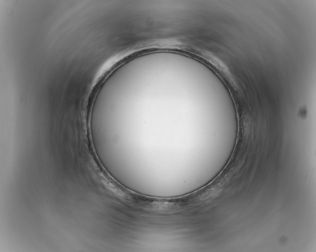 X0000089871176200707262143