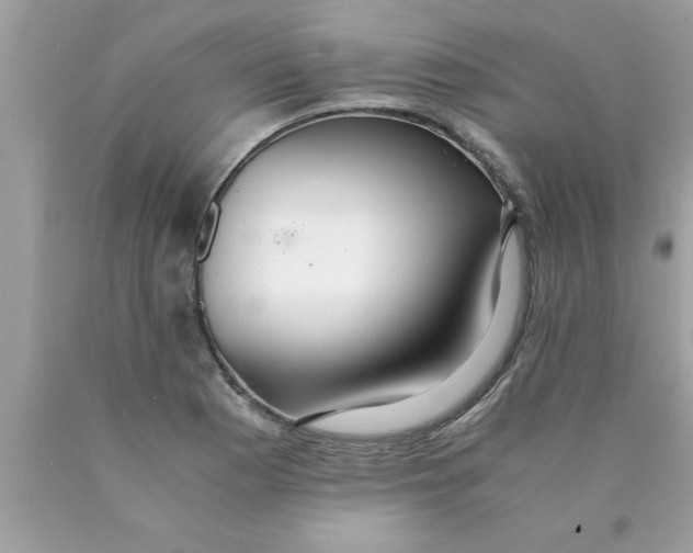 X0000089871177200707262143