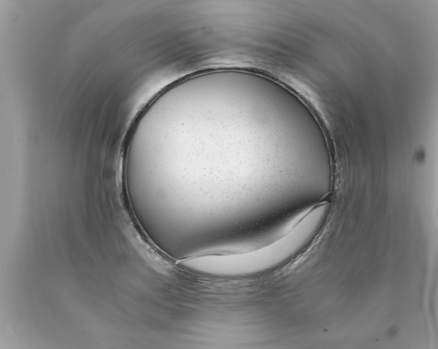 X0000089871179200707262143