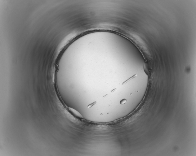 X0000089871180200707262143