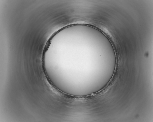 X0000089871181200707262143