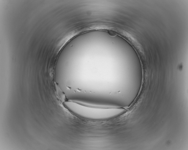 X0000089871185200707262143