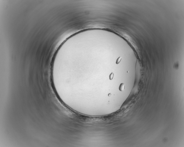 X0000089871187200707262143