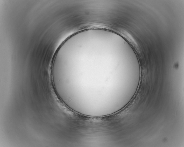 X0000089871190200707262143