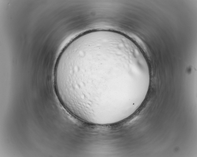 X0000089871191200707262143