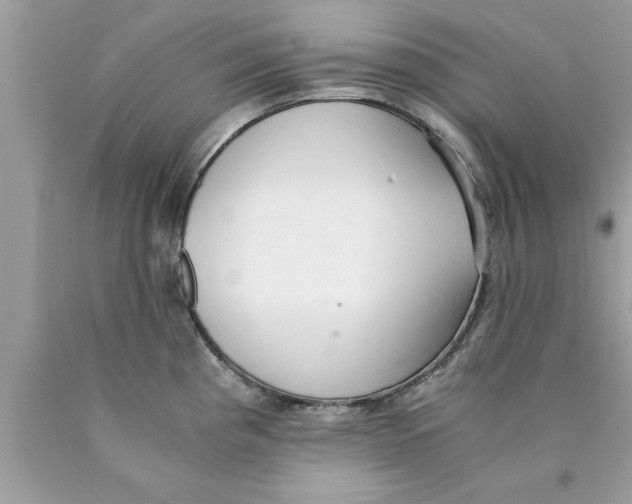 X0000089871193200707262143