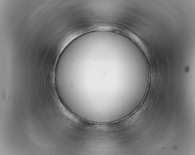 X0000089871194200707262143