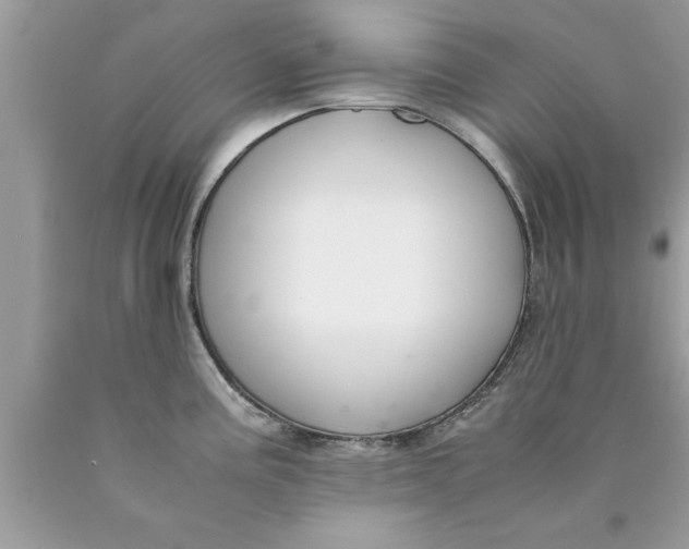 X0000089871195200707262143