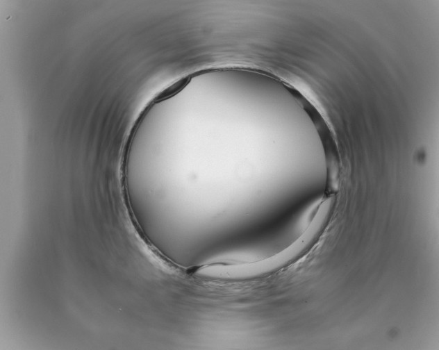 X0000089871197200707262143