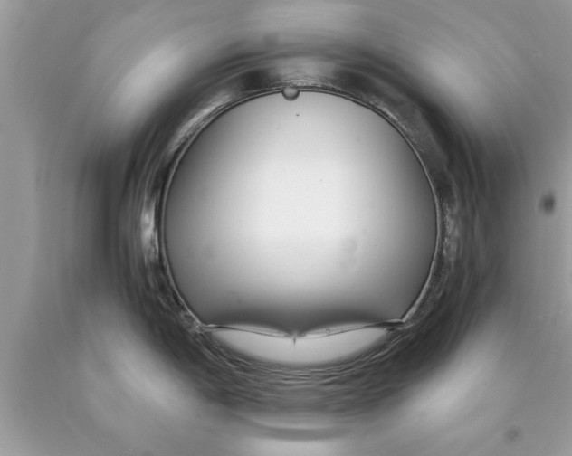 X0000089871198200707262143