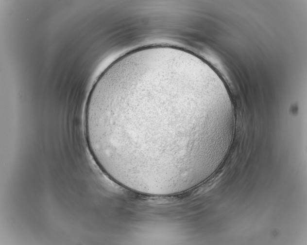 X0000089871199200707262143